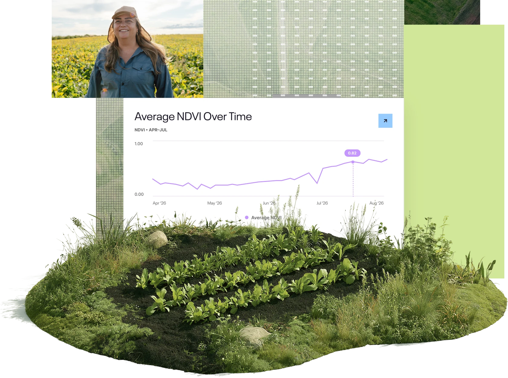 Agricultural landscape with environmental monitoring and market data.